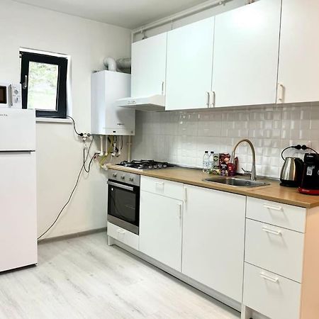 Otopeni Studio C1 1 Airport Therme Dış mekan fotoğraf