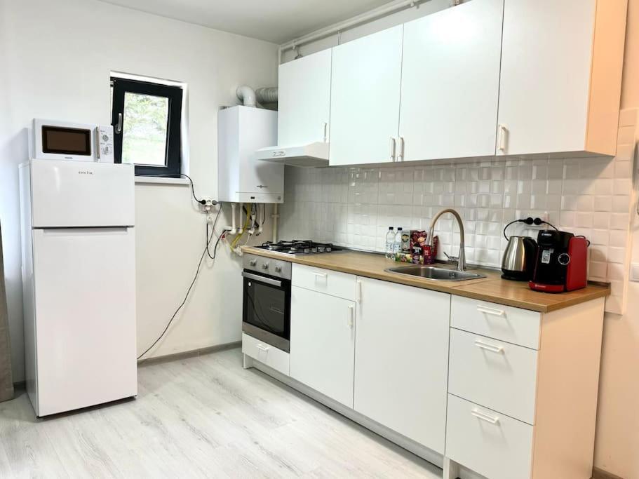 Otopeni Studio C1 1 Airport Therme Dış mekan fotoğraf